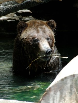 DSC_0229.jpg