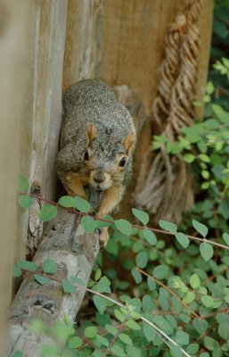 DSC_0283.jpg