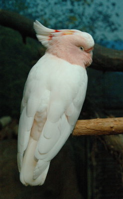 DSC_0316.jpg