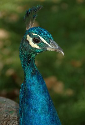 DSC_0391.jpg
