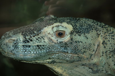 DSC_0475.jpg