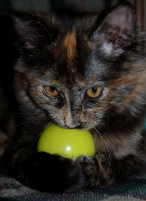 DSC_8611.jpg