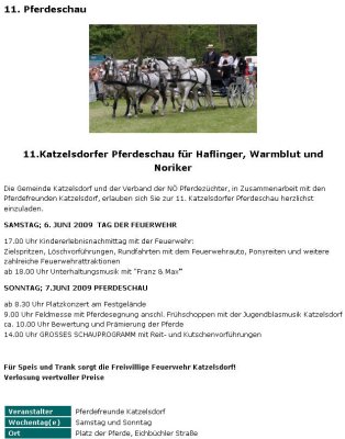 Programm der 11. Katzelsdorfer Pferdeschau