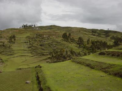 Incan terraces on hillside