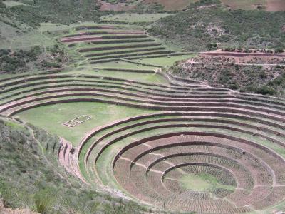 Incan gardening test site