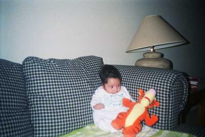 g3/03/626103/3/54131354.PlayingWithTiger.jpg