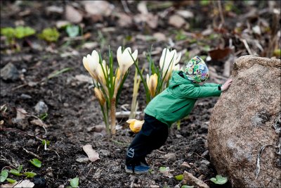 Garden work