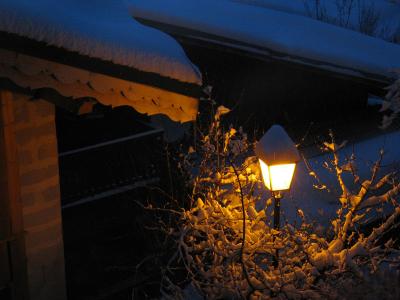 IMG_0270
