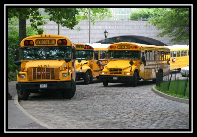 School Bus in American Museum of Natural History