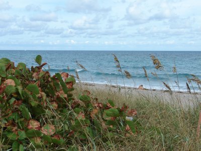 Deerfield Beach, FL