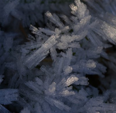 snow crystal