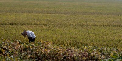 on the way to Zhouzhuang, Jiangsu province