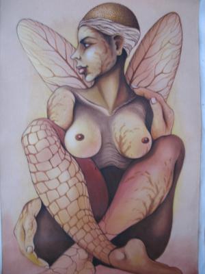 g3/03/647003/3/58704791.Cubanart030.jpg