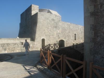 IMG_0372.jpg