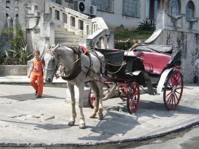 HAVANA AUTOS