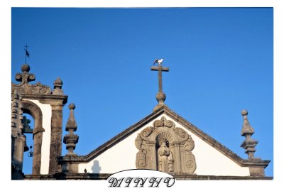 THE SEAGULL AND THE CROSS