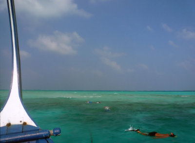 SNORKLING  ON THE REEF