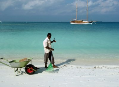 SWEEPING  THE  BEACH