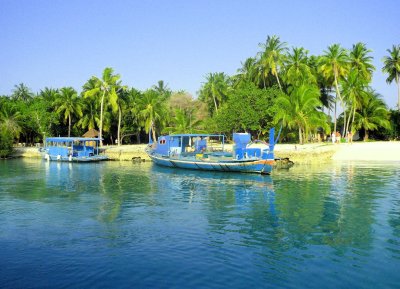 THE DIVING -TOUR  BOATS