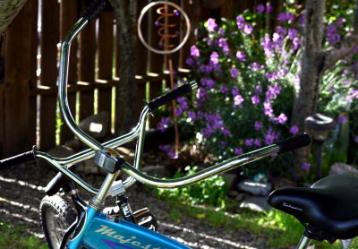 The art of handle bars and garden flowers.jpg