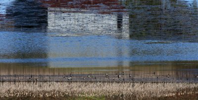 reflections of an upside down world.jpg