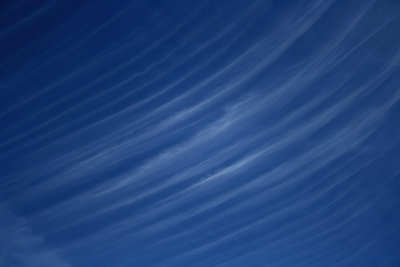 feathered sky.jpg