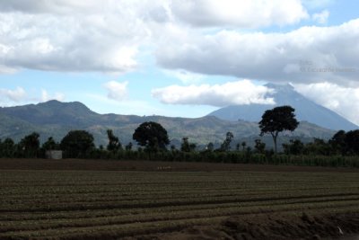 Vista del Volcan de Agua desde la Ruta a la Cabecera