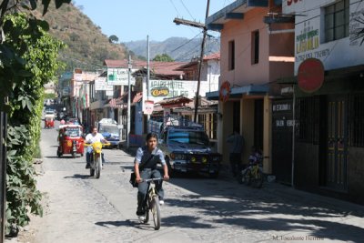 Avenida  'Los Arboles'