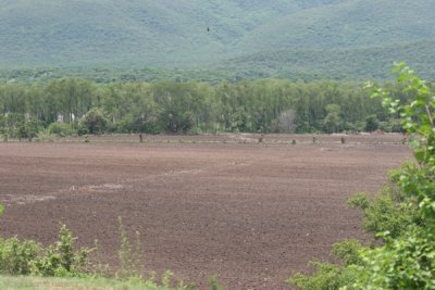 Zona de Cultivos Cercana a la Cabecera Municipal