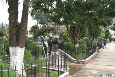 Escena Cotidiana en el Parque Central