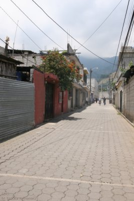 Calle Tipica del Poblado