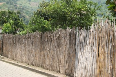 Cerco Tradicional Antiguo Usando Caa de Milpa