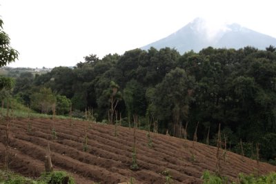 Las Tierras del Lugar son Muy Fertiles