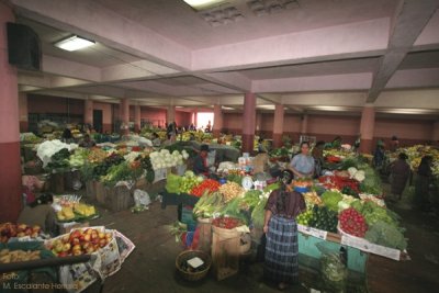 Abundante Verdura y Fruta en el Mercado