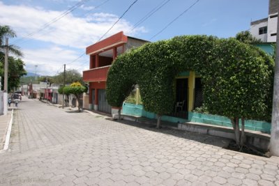 Calle Tipica de la Ciudad