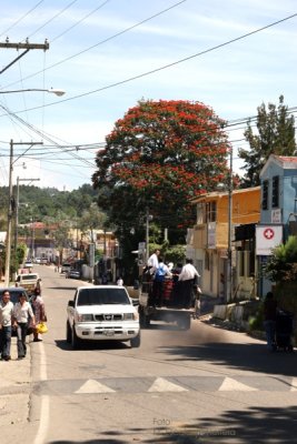 Calle de Ingreso Desde la Capital de Guatemala