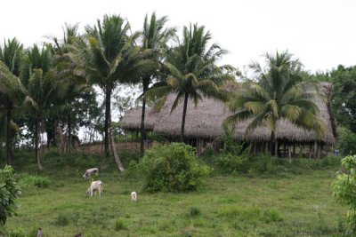 Construcciones del Area Rural del Municipio