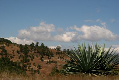 Vista que Ofrece la Carretera a Esta Cabecera Municipal