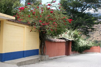 Calle de Ingreso al Poblado