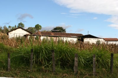 Casas a Orilla de la Ruta a Esta Cabecera