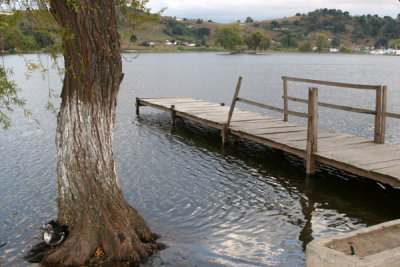 Muelle en la Laguneta de Las Garzas