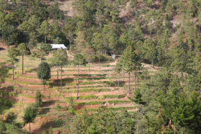 Vistas de la Campia del Municipio