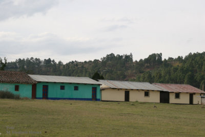 Casas al Ingreso del Area Urbana