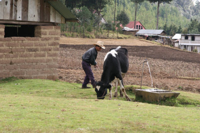 Escena Cotidiana en el Campo