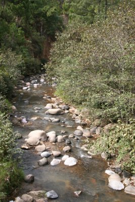 Rio Pachac, Proximo al Poblado