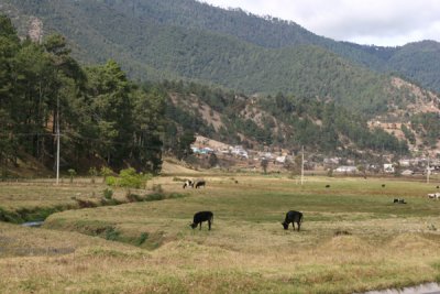 Vista del Area Rural Cercana a la Cabecera