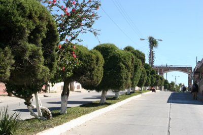 Calzada de Ingreso al Centro Urbano