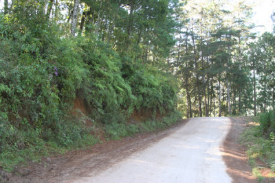 Carretera a la Cabecera