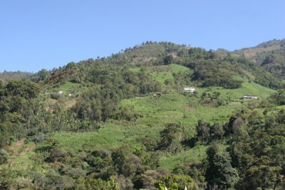 Montaas y Plantaciones a Orillas de la Ruta a la Cabecera
