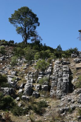 Paisaje que Ofrece la Ruta a Esta Cabecera